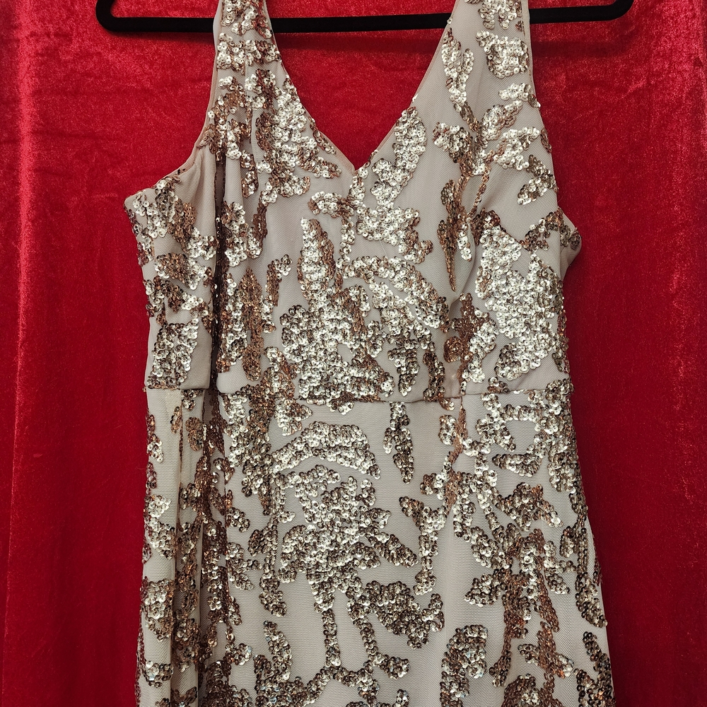 R&M Richards Glittering Silver and Cream Maxi Dress